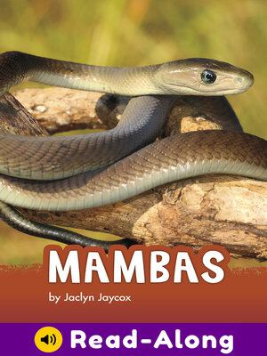 cover image of Mambas